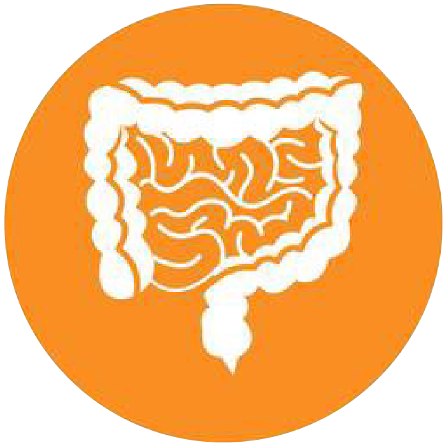 關(guān)注職場“腸”態(tài)，守護員工健康——上海格瑞特特邀消化內(nèi)科專家公益系列講座（4）(圖4)