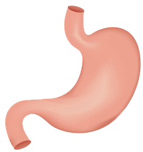 關(guān)注職場“腸”態(tài)，守護員工健康——上海格瑞特特邀消化內(nèi)科專家公益系列講座（4）(圖9)